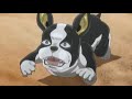 Adult Swim Bumps And Commercials For Thursday March 15 2018