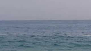 preview picture of video 'Marina di Cottone... Chiare e fresche acque...? No, un fiume di m€rd@...!!!'