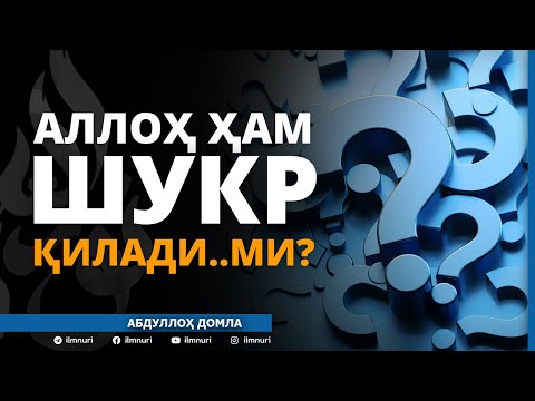 ALLOH TAOLO HAM SHUKR QILADIMI? / QANDAY? / ASH-SHAKIR / ABDULLOH DOMLA (Animatsiya)