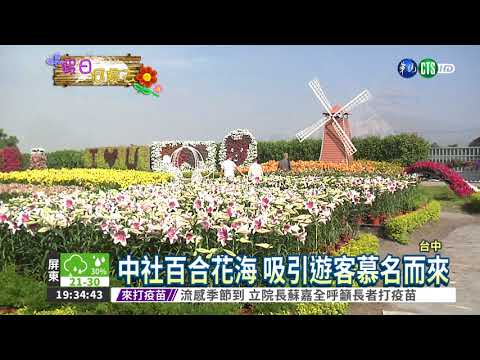 新社花海節登場 呈現最自然風貌