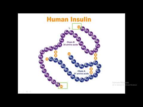 Diabetes 2 típusú kezelés a propoliszokkal