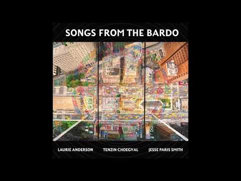 Laurie Anderson - video