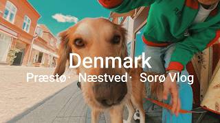 【デンマークVlog】知られざるデンマークの可愛い小都市巡り🇩🇰 アンティークとヒュッゲな街歩き|Præstø・Næstved・Sorø Vlog