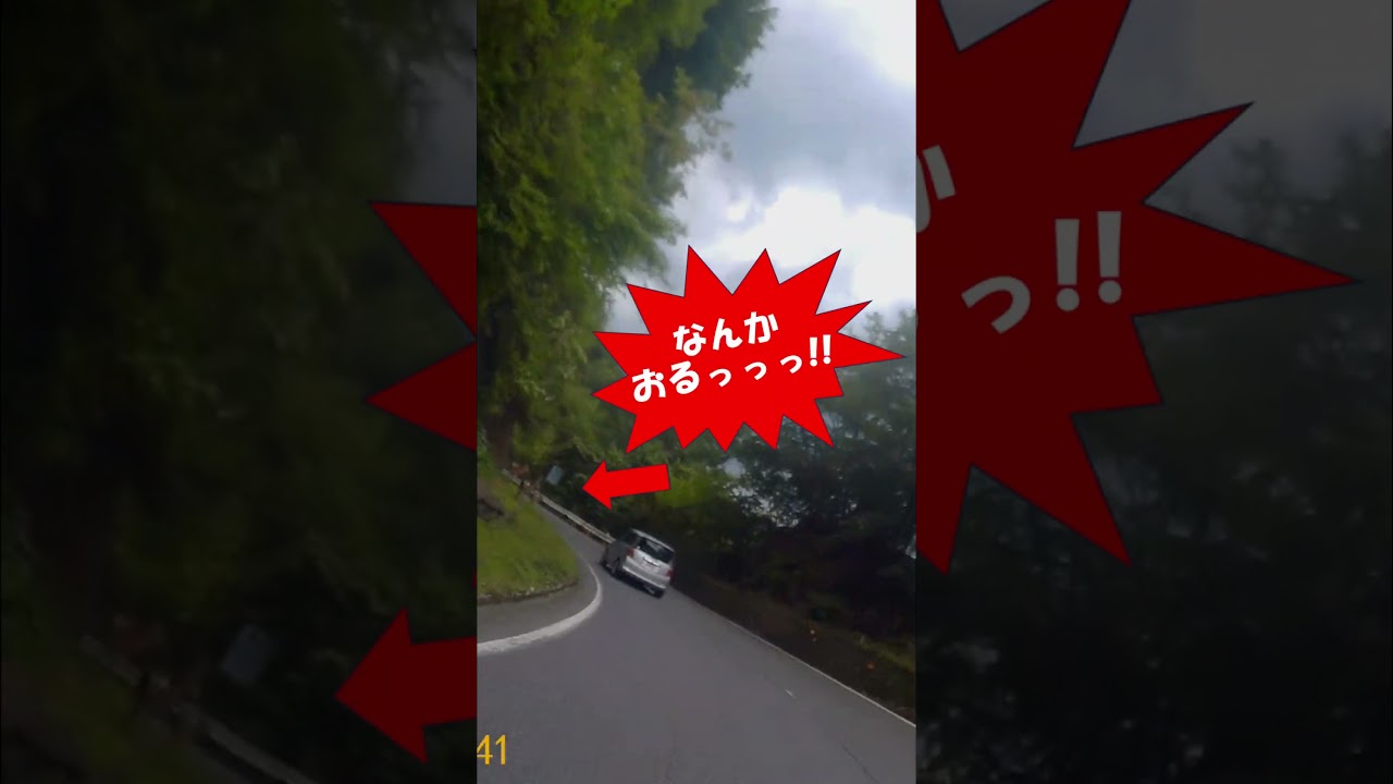 【 ●●注意!! 】特に私と同じバイク乗りの方へ【飛び出し】