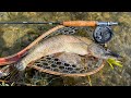 Video Thumbnail for Pike On The Fly! INSANE Action BEST Flies To Use!