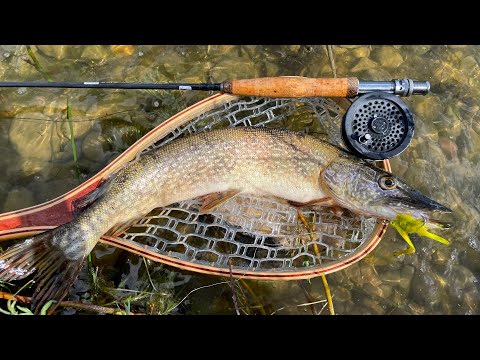 Pike On The Fly! INSANE Action BEST Flies To Use!