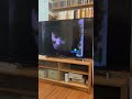 Elmo World Bananas Film