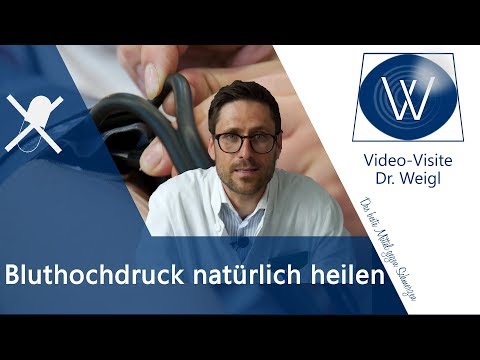Blutdruck bei Pferden Broschüren zur Prävention von arterieller Hypertonie