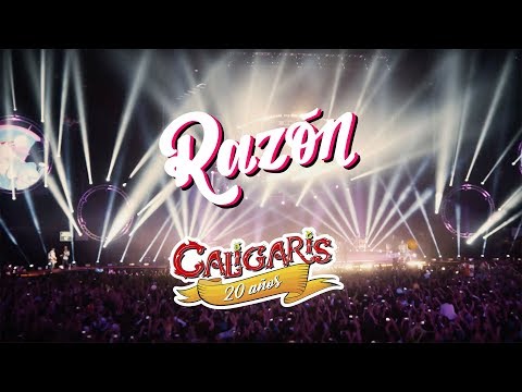 Los Caligaris - Razón (DVD "El show más feliz del mundo")