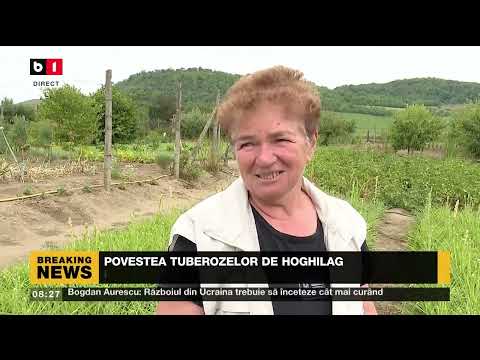 POVESTEA TUBEROZELOR DE HOGHILAG_Știri B1_16 iulie 2022