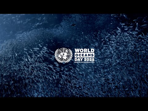 Announcing UN World Oceans Day 2025: Wonder