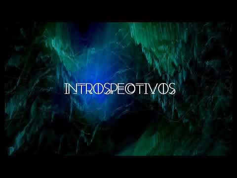 INTROSPECTIVOS - Sara Hebe ft Highkili [Prod. Don Peligro] (visualizer)