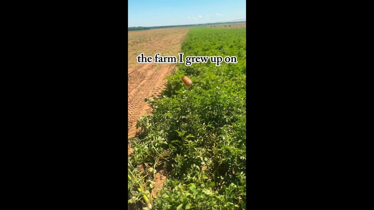 The Farm I Grew Up On