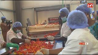 Industrie agroalimentaire : la Société Burkinabè de Tomates ouvre ses portes à la veille citoyenne