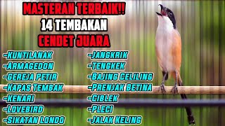 Download lagu MASTERAN SUARA CENDET GACOR FULL ISIAN MEWAH MATERI LOMBA mp3 Download lagu MASTERAN SUARA CENDET GACOR FULL ISIAN MEWAH MATERI LOMBA mp3