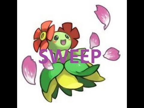 Bellossom sweep!