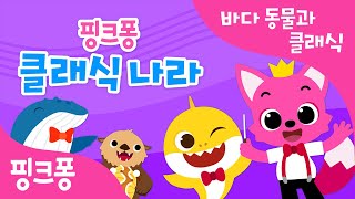 어푸어푸 바다 동물과 클래식 | 핑크퐁 동요 속 클래식 찾기 | 핑크퐁 클래식 | 동물동요 | 핑크퐁! 인기동요