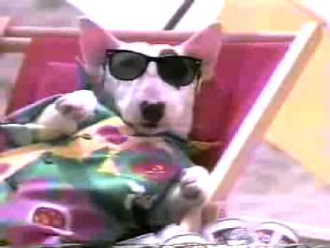 Bud Light "Spuds Mackenzie" 1986