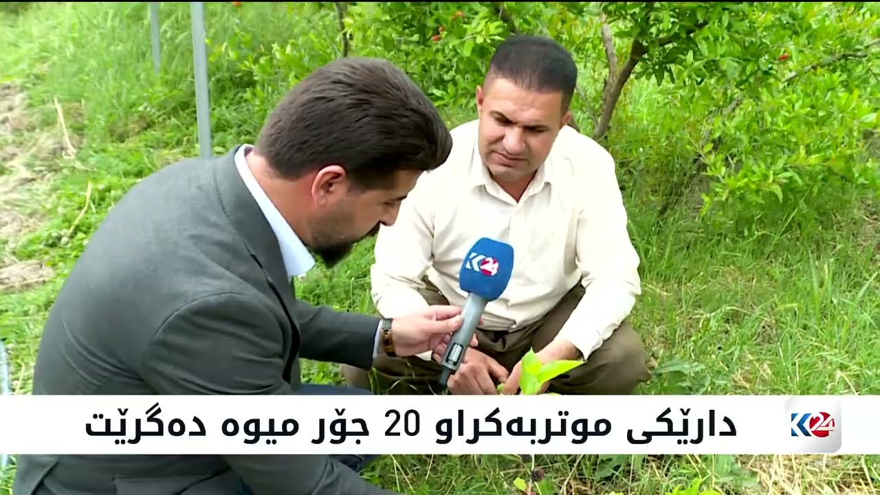 ڤیدیۆ | جووتیارێکی نموونەیی داهێنان لە موتربەکردن دەکات
