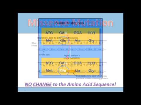 Substitution Mutations