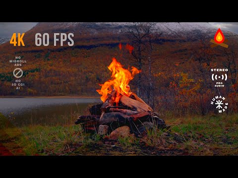 Autumn CAMPFIRE by the lake [MID-ROLL ADS TURNED OFF]