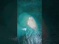 POV: You're lying in the middle of the Indian Ocean #shorts #drone #indonesia