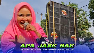 Download lagu APA JARE BAE - HERLITA | INDRAA JAYA | Salamdarma Anjatan Indramayu mp3