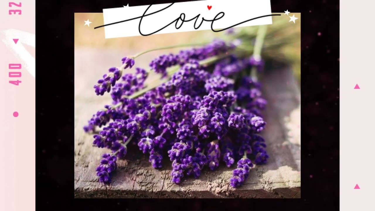 (PDF) The Devotion System Review - The Devotion System Review ⚠︎ Legit or a SCAM?