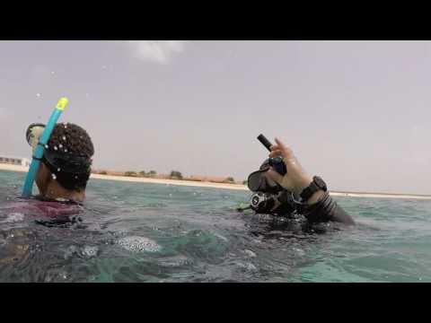 Skill: Panicked Diver - UW Approach - Rescue Diver Course Ex. 2