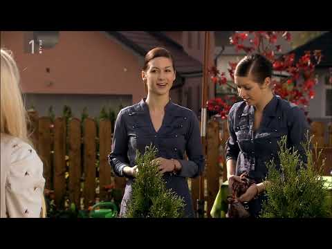 Moji, tvoji, najini - Sezona 1 - 21/35