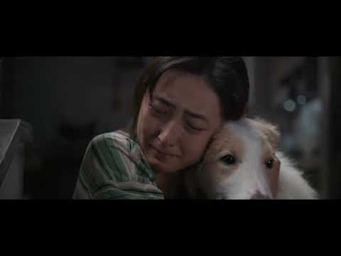 《我會好好的》預告片：官方預告