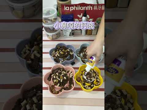 Discover Today's Fresh Dog Food - A Treat for Your Furry Friend