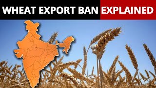 India Bans Wheat Export: What It Means For Global Markets