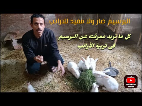 , title : 'فوائد البرسيم وأضراره فى تربية الأرانب(The benefits and harms of alfalfa in raising rabbits)'