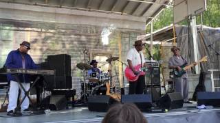 Lurrie Bell & His Blues Band — 'Sweet Little Angel'