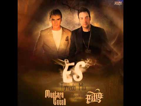 Mustafa Ceceli feat. Pit10 - Es (Tornado Mix.)