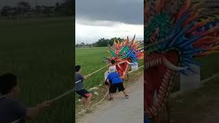 UJI COBA LAYANGAN NAGA BIG SIZE TERBARU