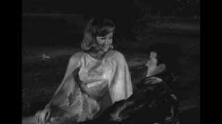 Shelley Fabares - The Things We Did Last Summer