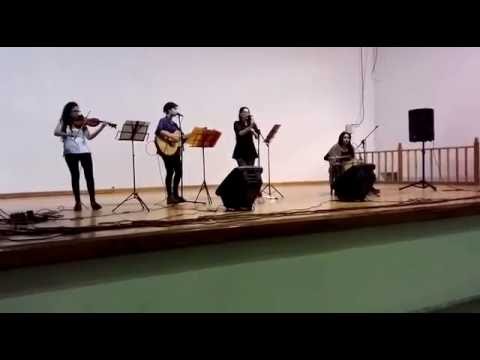 kaani trelew -  Gato de estocolmo