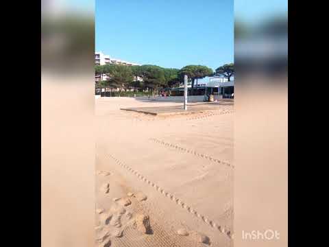 Viva Palamós y la playa de la fosca