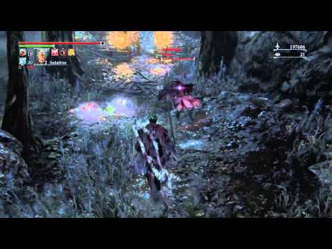 Bloodborne: Log to the face