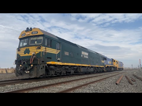 Pacific National Light Engines G523 X48 G519 running around grain hoppers at Gheringhap 15/3/2025