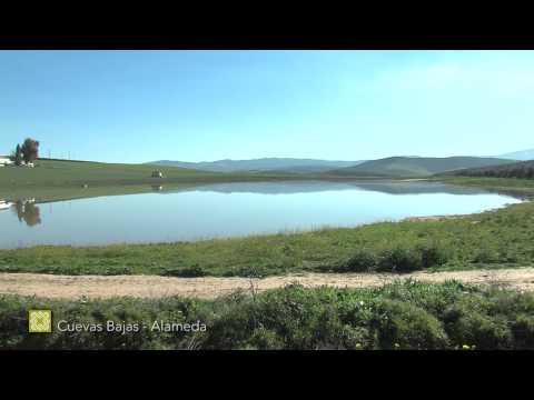 Gran Senda de Mlaga. Etapa 16: Cuevas Bajas-Alameda