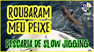 PEGADEIRA NO SLOW JIGGING [Aprenda as Técnicas de Pescaria de Slow Jigging no Alto-Mar]