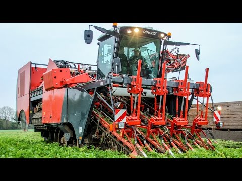 *Primeur* New Dewulf ZKIV Self- Propelled Carrot Harvester