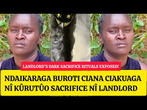 Ndaikaraga Buroti Ciana Ciakuaga Nî Kûrutwo sacrifice nî Landlord, Gûtirî Mwana wahonokaga Aciarwo.