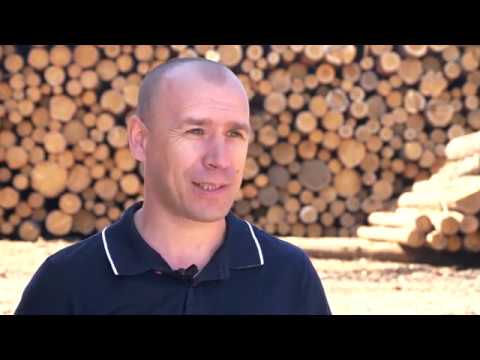 Коротко о компании "Строя"