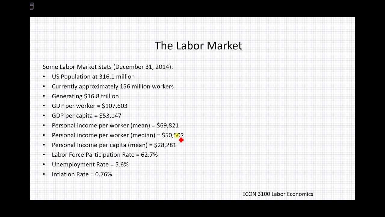 ECON 3100 1.1 - The Labor Force