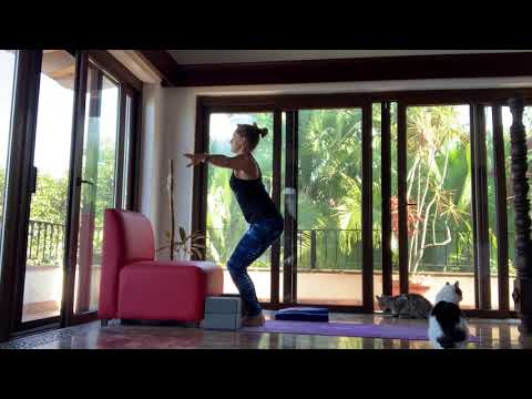 Chaturanga preparatory poses tutorial / breast cancer blog / Yoga with  Leona: yoga for breast cancer