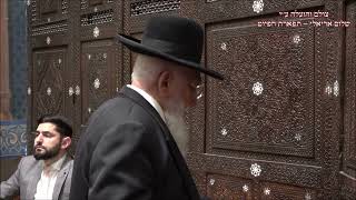 קדיש לחן מעמי תשים עלי יה הרב שלמה מדינה בבהכ''נ עדס מוצ''ש ויקהל פיקודי תשפ''ג ראשט - התמונה מוצגת ישירות מתוך אתר האינטרנט יוטיוב. זכויות היוצרים בתמונה שייכות ליוצרה. קישור קרדיט למקור התוכן נמצא בתוך דף הסרטון קדיש לחן מעמי תשים עלי יה הרב שלמה מדינה בבהכ''נ עדס מוצ''ש ויקהל פיקודי תשפ''ג ראשט - התמונה מוצגת ישירות מתוך אתר האינטרנט יוטיוב. זכויות היוצרים בתמונה שייכות ליוצרה. קישור קרדיט למקור התוכן נמצא בתוך דף הסרטון